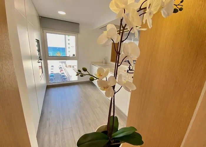 דירה Modern 3 Bed 2 Bath אל קאמפיו