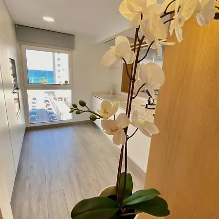 Apartment Modern 3 Bed 2 Bath El Campello